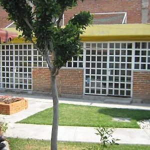 Bugambilias ** Heroica Puebla de Zaragoza